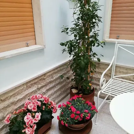 Casa Salandra *